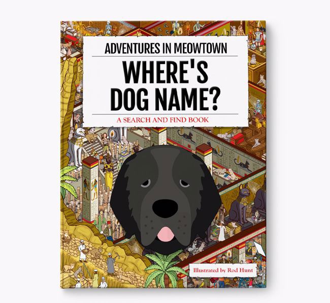 Personalised Newfoundland Book: Where's Dog Name? Volume 2
